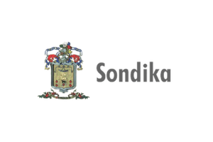 Logo-30